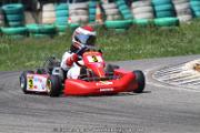 20110501_ales_agnus (2962)